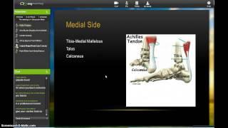 Kelly Powers Screencast for Final Part 1