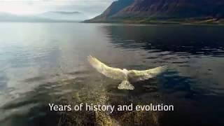 Енисейская Сибирь | Yenisei Siberia