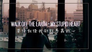 要怪就怪我那顆愚蠢的心 / Walk off the Earth - My Stupid Heart 中英歌詞