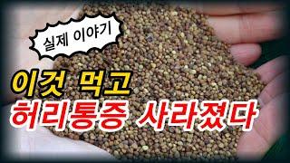 이것 먹으면 허리통증 무릎통증 사라지고 남녀의 성기능이 좋아진다[약초방송]