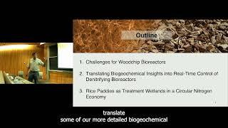 Innovations in Nature-Based Systems for Managing Nonpoint Source Nitrogen in Agricultural Ecosystems