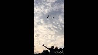11 ball Flash)