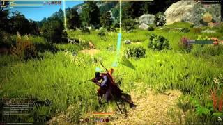 Black Desert Online Free To Play Russian server 99.99% english translated