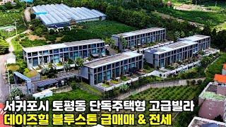 제주도 고급 타운하우스, 서귀포시 토평동 단독주택형 고급빌라 데이즈힐 블루스톤 급매매 & 전세, 제주도부동산, 제주도주택, 제주도급매매