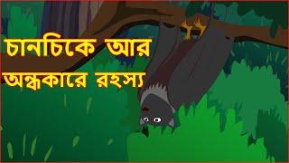 চানচিকে  আর  অন্ধকারে  রহস্য | Panchatantra Moral Stories for Kids | Maha Cartoon TV Bangla