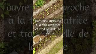 La Permaculture favorise une approche novatrice et durable du maraichage biologique sur sol vivant