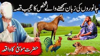 Hazrat Musa Ali Salam ka Waqia|Janwaron ki boliyan samajhne wala ki kahani |Islamic Moral Stories