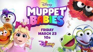 Meet the Muppets! | Muppet Babies | Disney Junior