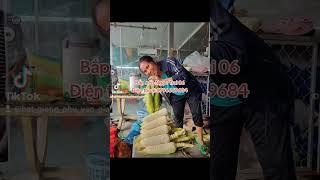 Giống bắp nếp hai mũi tên đỏ - Ngọc Trai 06