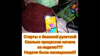 СТАРТЫ С БЕШЕНОЙ РУЛЕТКОЙ// СКОЛЬКО ПРОЦЕССОВ НАЧАЛА ЗА НЕДЕЛЮ???// НЕДЕЛЯ БЫЛА НАСИЩЕННАЯ!!!