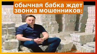 тикток ждет мошенников | подборка мемов