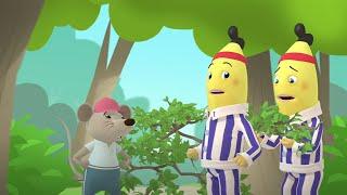 The Challenge | Bananas In Pyjamas