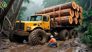 Dangerous Idiots Truck & Heavy Equipment Fails Compilation | Extreme Truck Idiots at Work #53