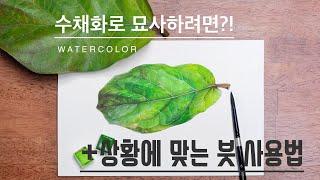 [수채화 중급]나뭇잎을 그려보자-수채화 묘사에 대한 꿀팁!(함께 천천히 그려봐요)