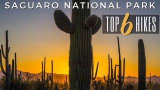 Top 6 Hikes | Saguaro National Park | Arizona