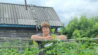 А зачем мне это надо ? Передумала/ Жизнь на пенсии 