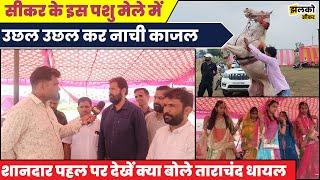 सीकर के बेरी पशु मेले में उछल उछल कर नाची काजल घोड़ी, देखें क्या बोले Tarachand Dhayal ~ Sikar News