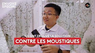 Ils ont trouvé la solution pour lutter contre les moustiques !