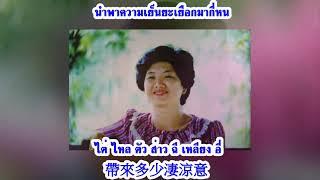 絲絲小雨 ซือ ซือ เสี่ยว ยวี่  鄧麗君 Lyrics แปลไทย