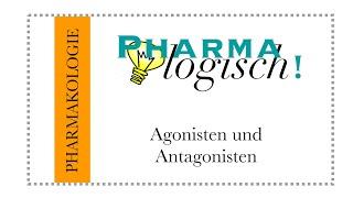 Agonisten und Antagonisten