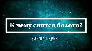 К чему снится болото - Онлайн Сонник Эксперт
