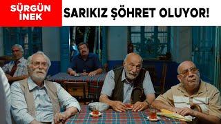 Sürgün İnek Türk Filmi | Sarıkızın Olayı Tüm Türkiye'de Ünleniyor!