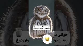   #سابسکرایب #طنز#پزشکیان #ترامپ #ویدیو#تبلیغات #ایرانی #پست #خنده #شادی#خنده_دار#comedi