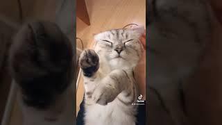 Не останавливать