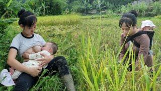 At 17 years old, she was a single mother, carrying her child to harvest rice to earn money