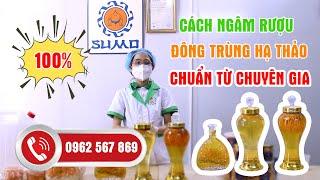 Hướng Dẫn Ngâm Rượu Đông Trùng Hạ Thảo Tươi / Khô | ĐTHT VBIO.