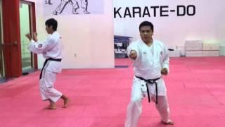 Karate Do Shotokan - Sensei Hector Pineda