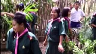 พฤษศาสตร์ในโรงเรียน Part 1.wmv