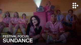 Festival Focus: Sundance | Official Trailer | Hand-Picked by MUBI