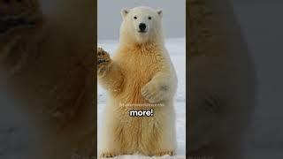 The Polar Bear's Icy Deception | Clear Fur, Black Skin