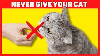 25 Foods toxic to cats  | Don't feed your cat