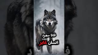 حكم وأقوال ملهمه عن واقع الحياة #حياة#حكم#أقوال#إلهام#تحفيز#نصائح_حياتية