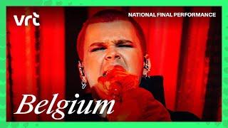 Red Sebastian - Strobe Lights | Belgium  | National Final Performance | #Eurovision2025