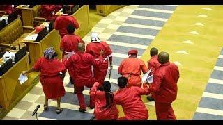 ALL The DANCE: EFF Makes  Their Way To Parliament