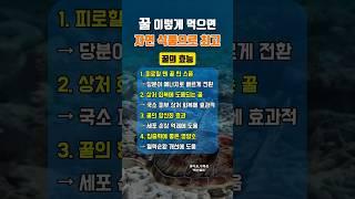 꿀 이렇게 먹으면 자연식품으로 최고