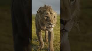 Mufasa: The Lion King | Final Trailer | In Cinemas December 18