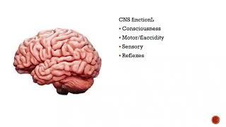 Diagnosis of death - brain stem death(تشخيص الوفاة)