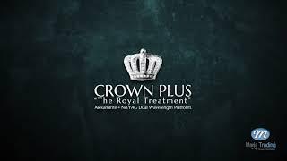 Crownplus | Maria Trading