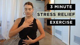 Meditation for Stress and Worry ‍️ 3 Minute Stress Relief Exercise