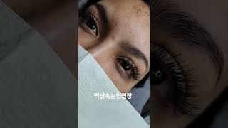 #두손뷰티#역삼속눈썹연장/펌 한티역8번출구 2분  백림빌딩2층