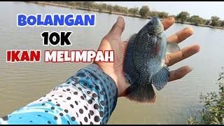 MANCING BOLANGAN SEPUASNYA SEHARIAN 10K IKAN MELIMPAH