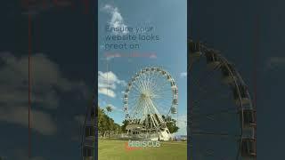 Unlock Business Success: Explore Hibiscus Media's Premium Package!  #BusinessPremium #HibiscusMedia"
