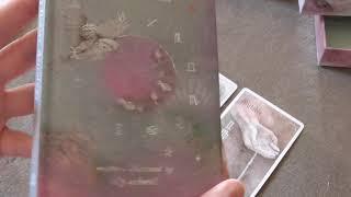 Heavenly Bodies Astrology/Lily Ashwell-3 card spread msg-"stellar" job.
