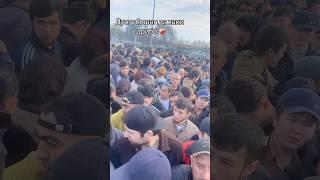 Гариби ️‍🩹