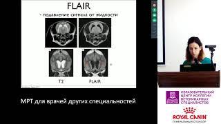 Сугробова А. В. - Основы интерпретации МРТ