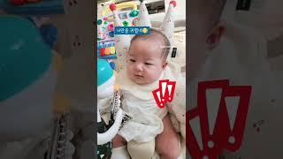 새로운 장난감 만난날 구스파파
